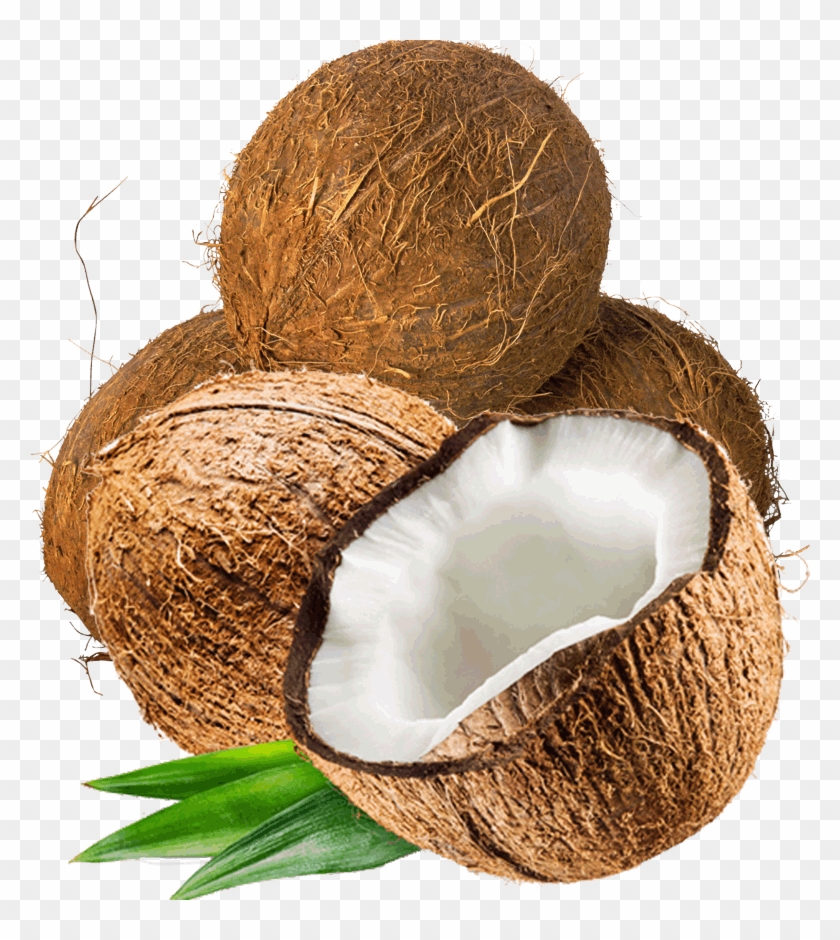 0 - Coconut With White Background #430065