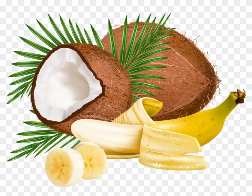 Coconut Leaf Clip Art - Coconut Leaf Clip Art #430115