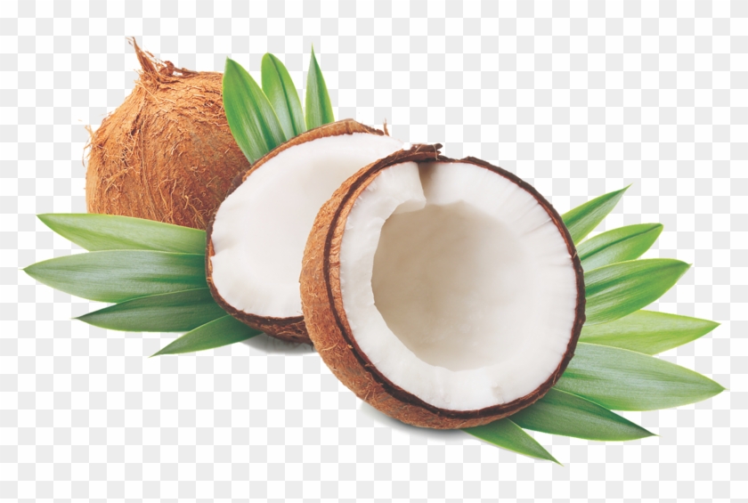 Coconut Oil Is Growing In Popularity As A Product That - Anjou Coconut Oil 32 Oz, Organic Extra Virgin, Cold #430123