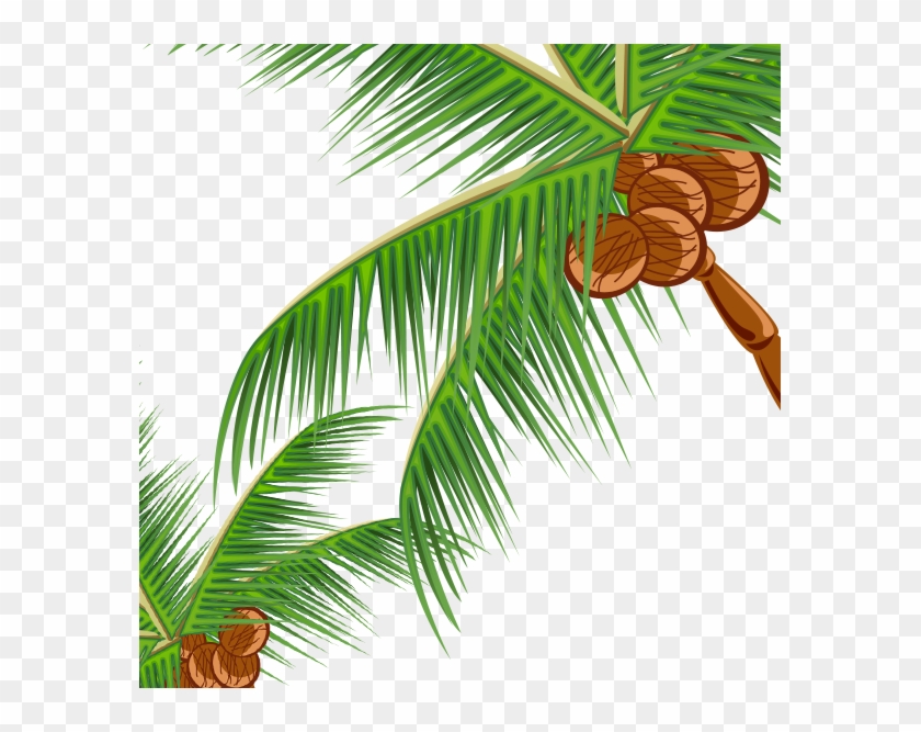 Coconut Fast Food Pine Leaf Illustration - Coconut Fast Food Pine Leaf Illustration #430178