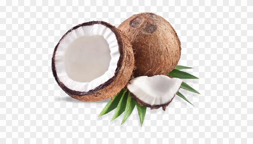 Coconut2 - Finevine Organics Acitivated Teeth Whitening Charcoal #430190