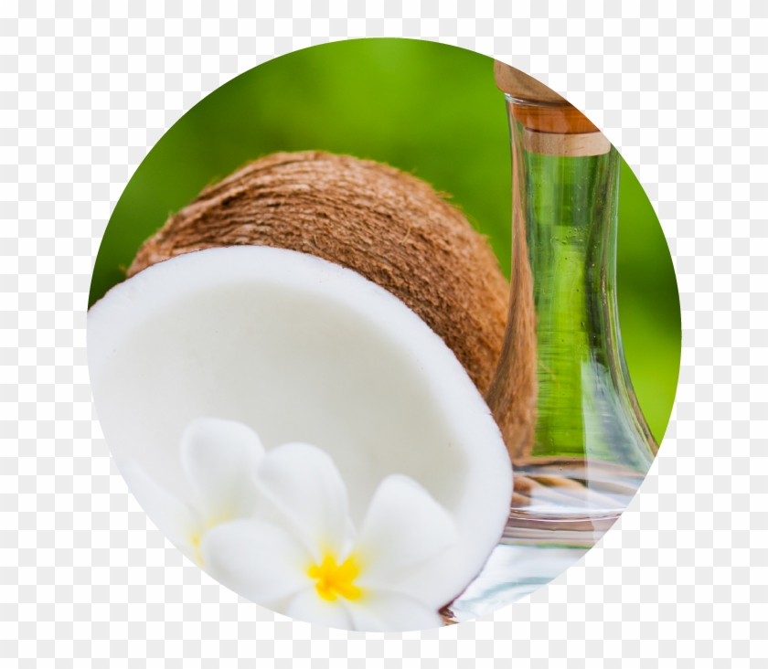 Coconut Oil - Coconut Oil Wonders: Nature's Amazing Weight Loss, #430195