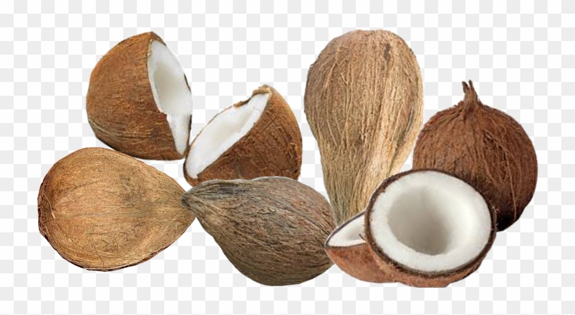 Coconut - Coo Coo For Coconuts - 50 Delicious Coconut Recipes #430201