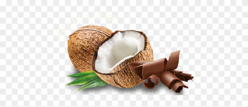 Chocolate And Coconut Flavour - Komodo Brands Komodo Energy Drink #430267