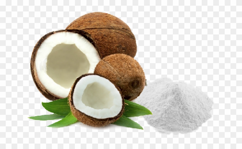 Coconut Powder - Coconut Powder #430287