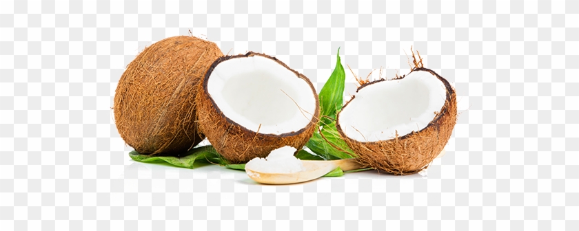Our Story - Coconut Scrub #430306