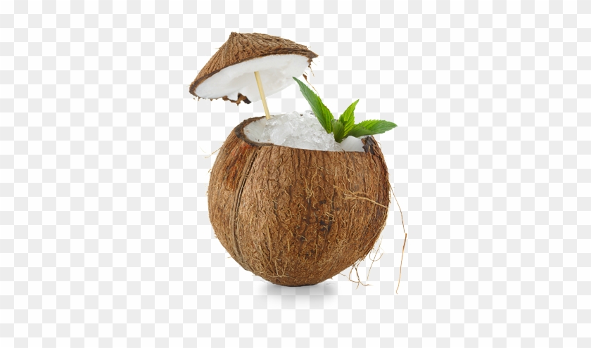 Coconut - Coconut Cocktail #430323