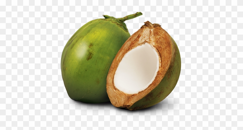 Coconut Fruit Philippines #430332
