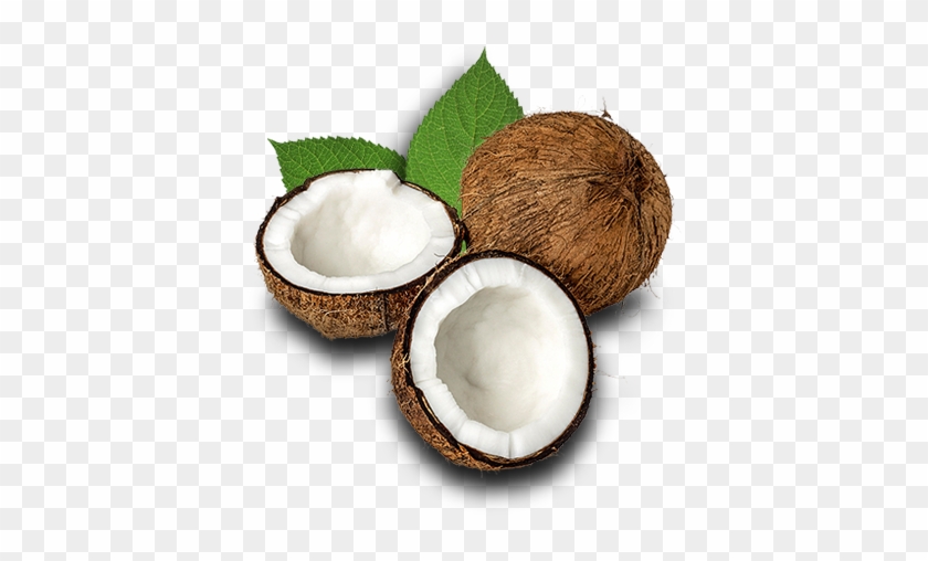 Coconut Ice Cream - Oskri - Gluten-free Coconut Bar Almond - 20 Bars #430338