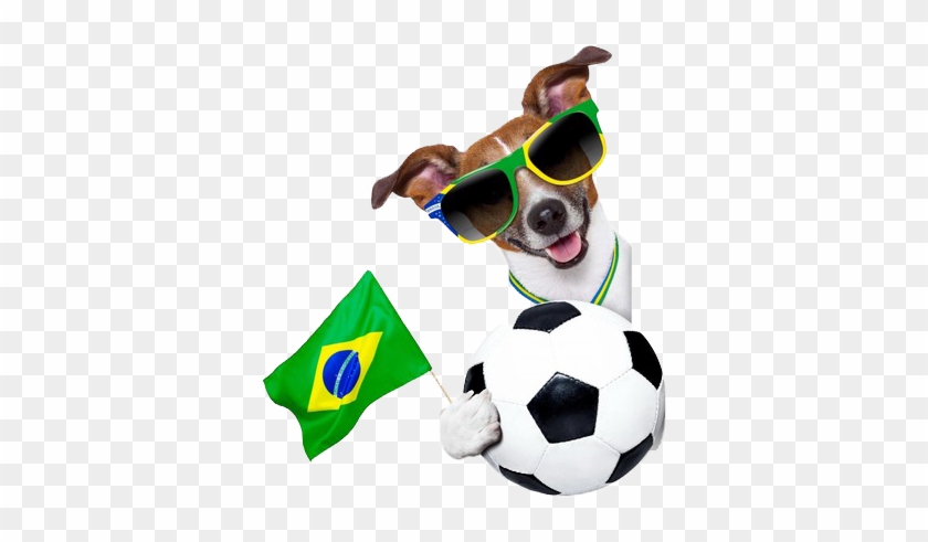 Fifa 12 2014 Fifa World Cup Brazil Dog - Fifa 12 2014 Fifa World Cup Brazil Dog #430584