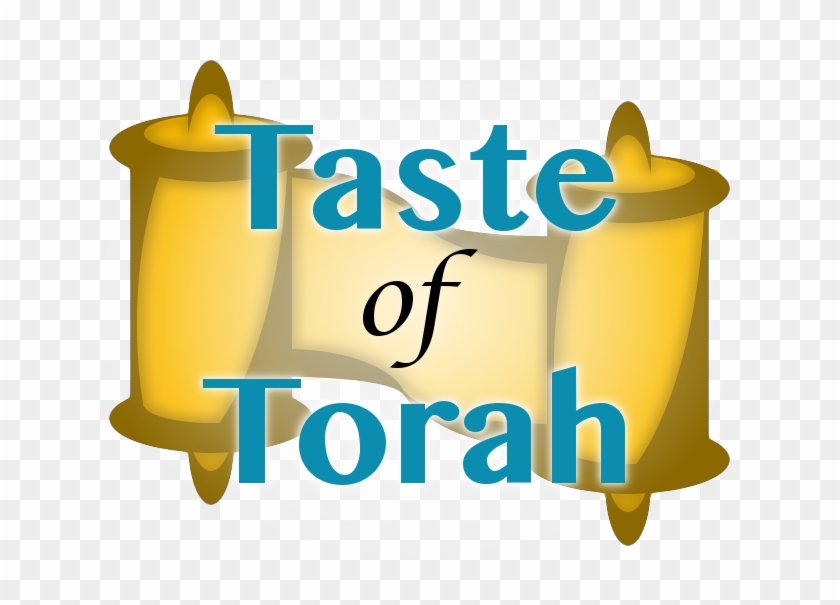 Taste Of Torah - Torah #430753