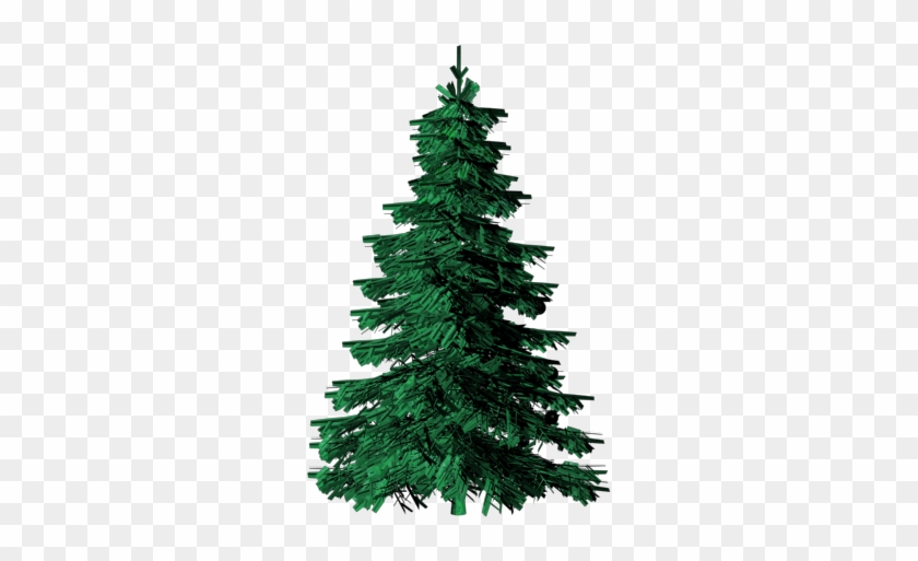 Evergreen Tree Clip Art - Picea Pungens Png #430758