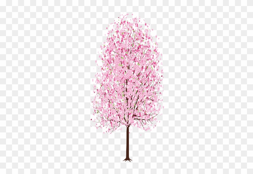 13 Oct 2014 - Cherry Blossom Tree Easy Drawing #430793