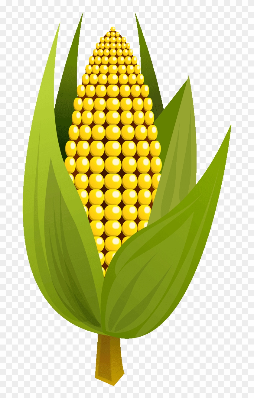Pin Ear Of Corn Clipart - Maize #430801