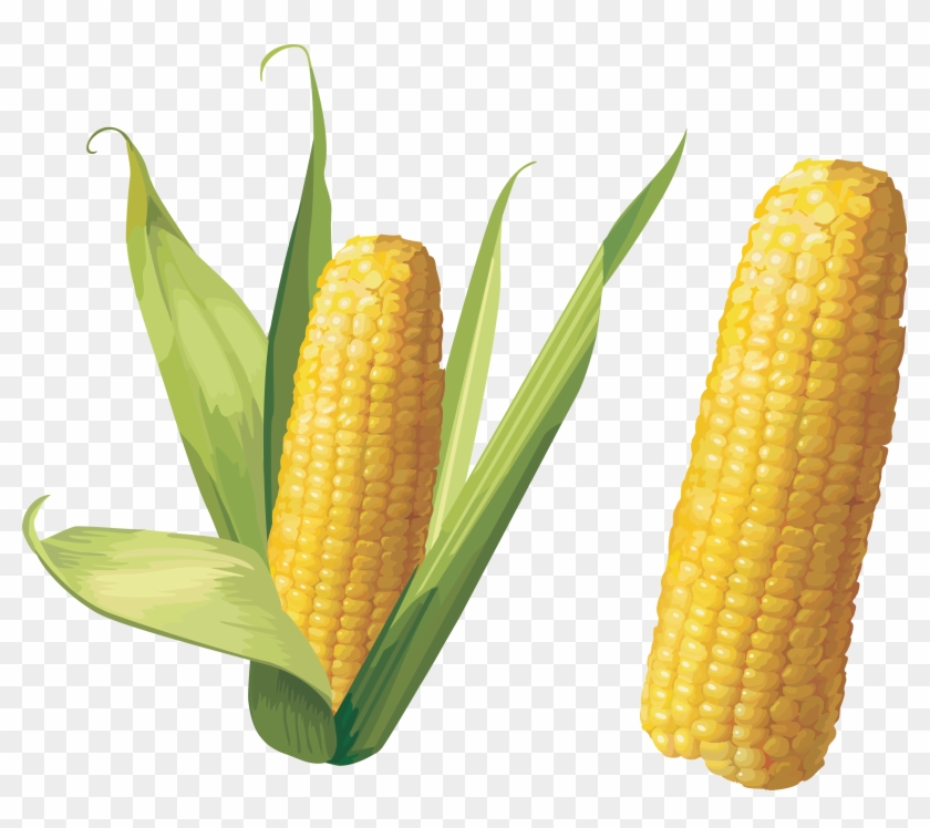 Corn Png Image - Corn Png #430820