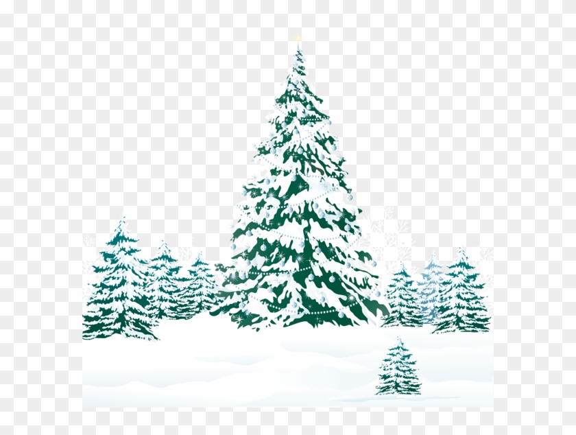 Snowy Winter Ground With Trees Png Clipart Image - Teal Christmas Tree Png #430826