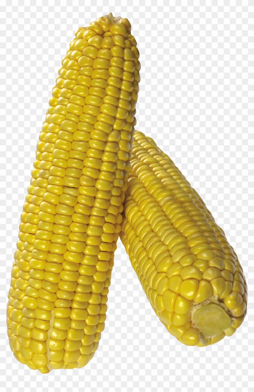 Corn With Transparent Background #430833