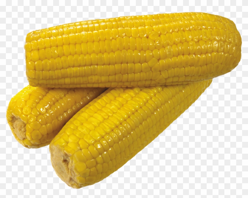 Corn Clipart Yellow Corn - Yellow Corn #430844