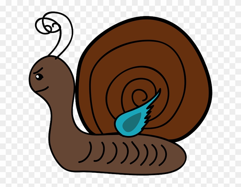 Gastropod, Univalve, Scroll, Slug, Cochlea - Clipart The Snail #430854