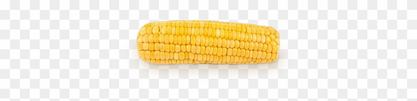 Categories Of Corn Twenty 73kb - Corn Png #430858