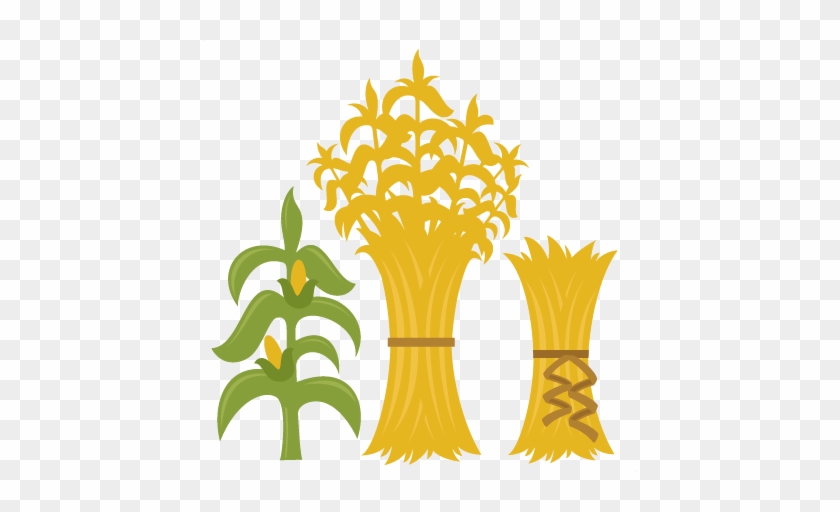 Corn Stalks Svg Cutting Files For Scrapbooking Fall - Corn Stalk Svg #430860