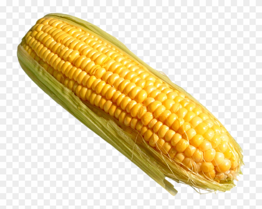 Corn - Corn On The Cob Png #430863