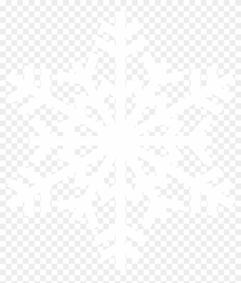 Best Snowflake Png - White Snowflake Png Transparent #430989