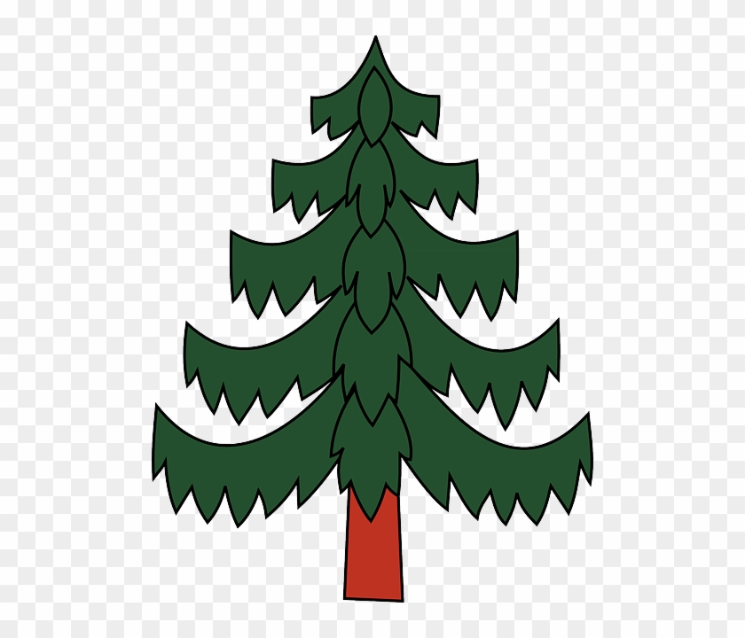 Pine Tree Clipart - Bauma Wappen #431267