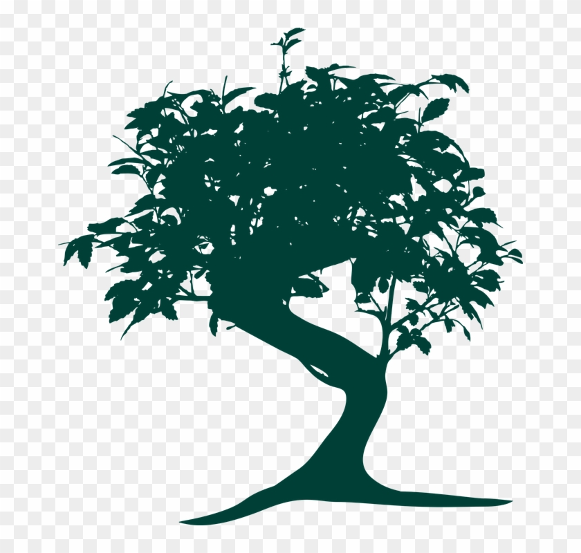 Mood Pictures, Japanese Tree, Qv - Bonsai Tree Vector Png #431343