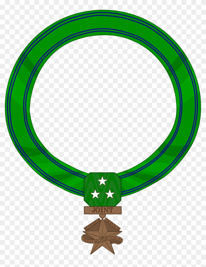 Texas Superior Service Medal #431374