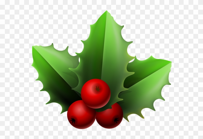 Christmas Mistletoe Png Clipart Image - Christmas Mistletoe #431444