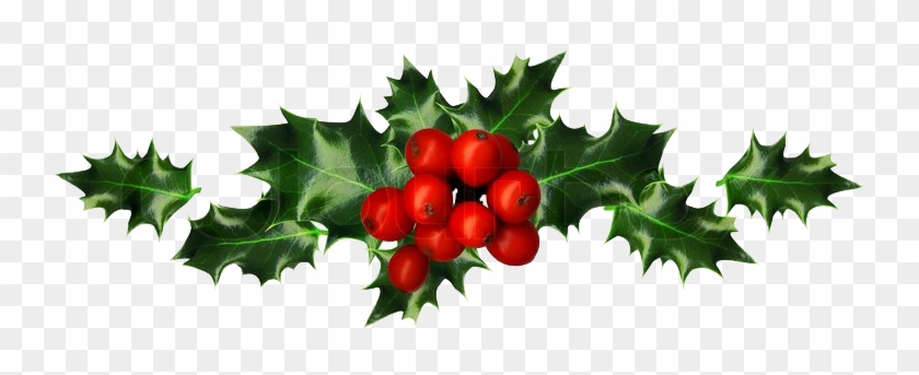 Christmas And New Year Opening Times - Holly And Berries Border #431546