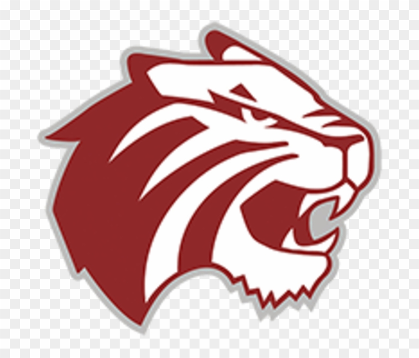 Trinity University Logo - Trinity University Tiger Logo #431559