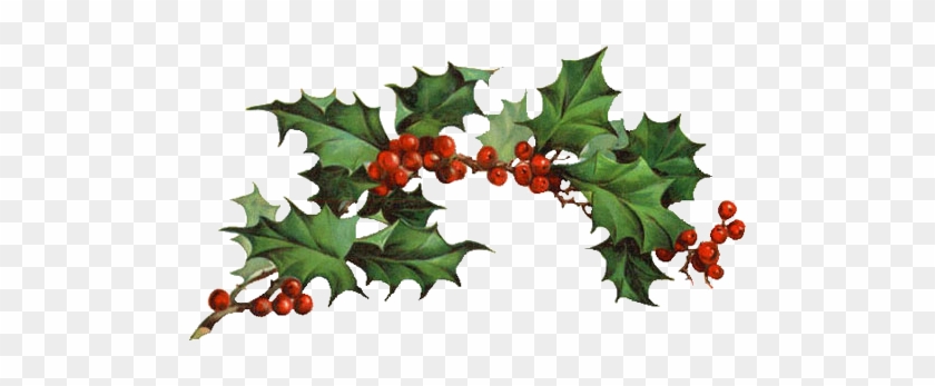 Tuesday, December 25, - Christmas Holly Clipart #431644
