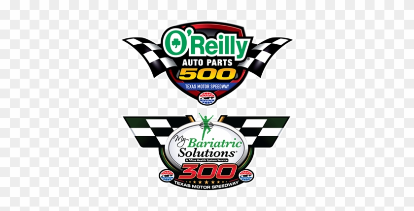 O Reilly Auto Parts 500 #431657