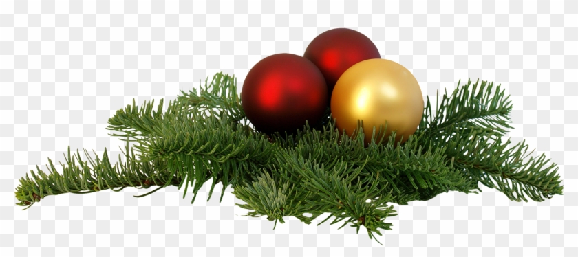 Christmas Branch Png Transparent Image - Christmas Day #431826