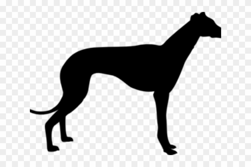 Greyhound Clipart - Greyhound Silhouette #432311