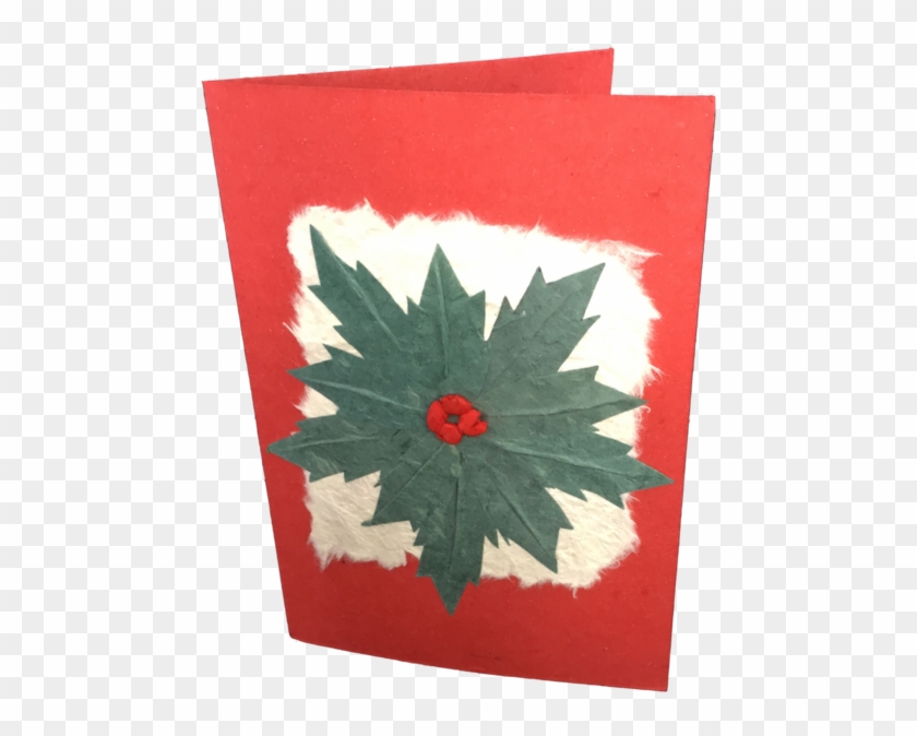 Christmas Card - Christmas Flower - Poinsettia #432428