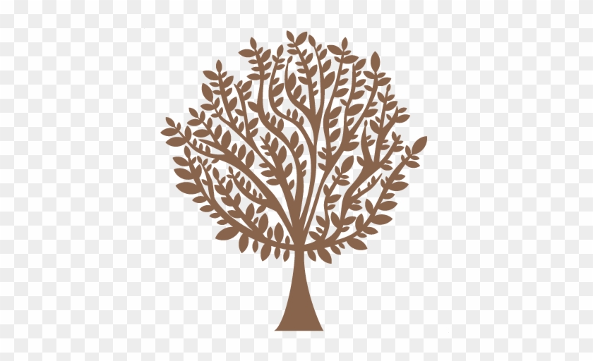 Tree Silhouette Svg Scrapbook Cuts Tree Svg Cut File - Scalable Vector Graphics #432890
