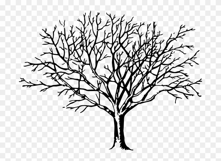 Clipart Tree - Big Black And White Tree #432900