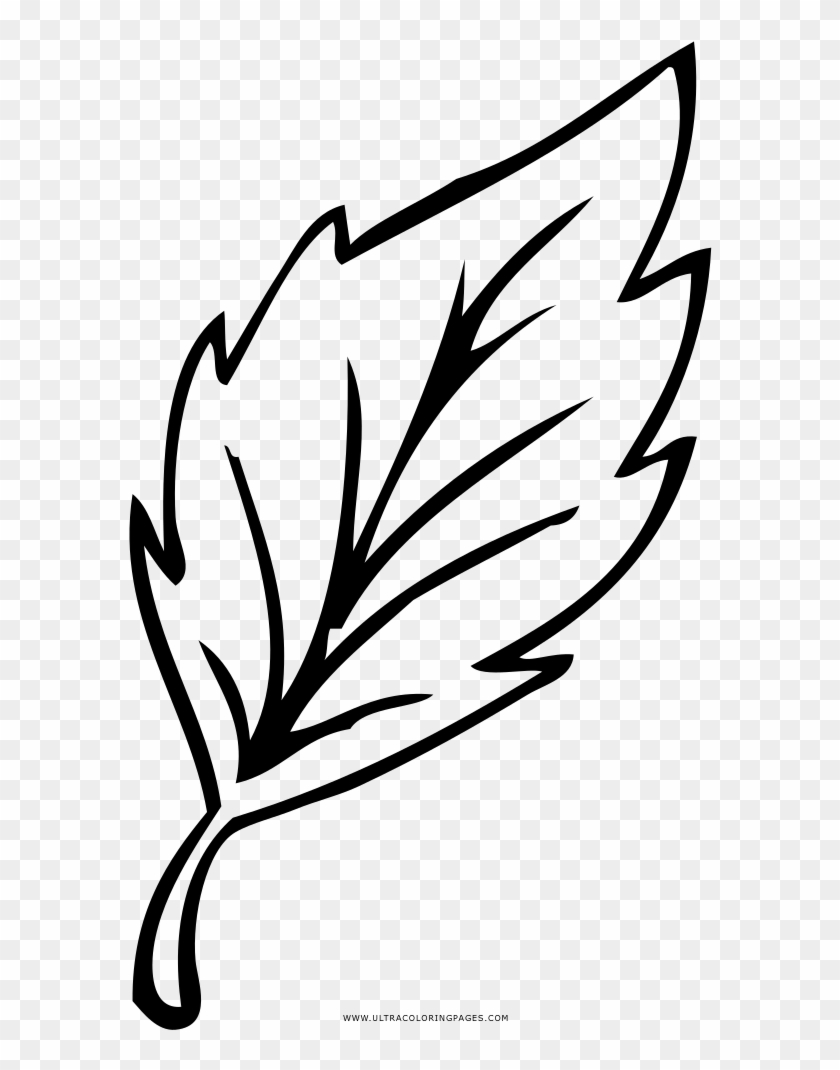 Leaf Coloring Page - Drawing #432905