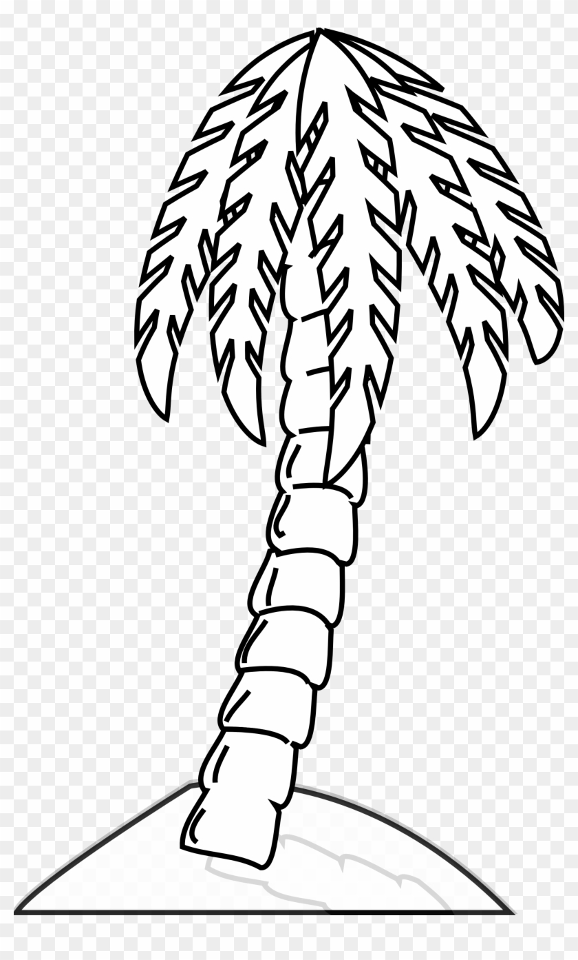 Palm Tree Clipart Black And White - Clipart Of Date Trees Black And White #432907