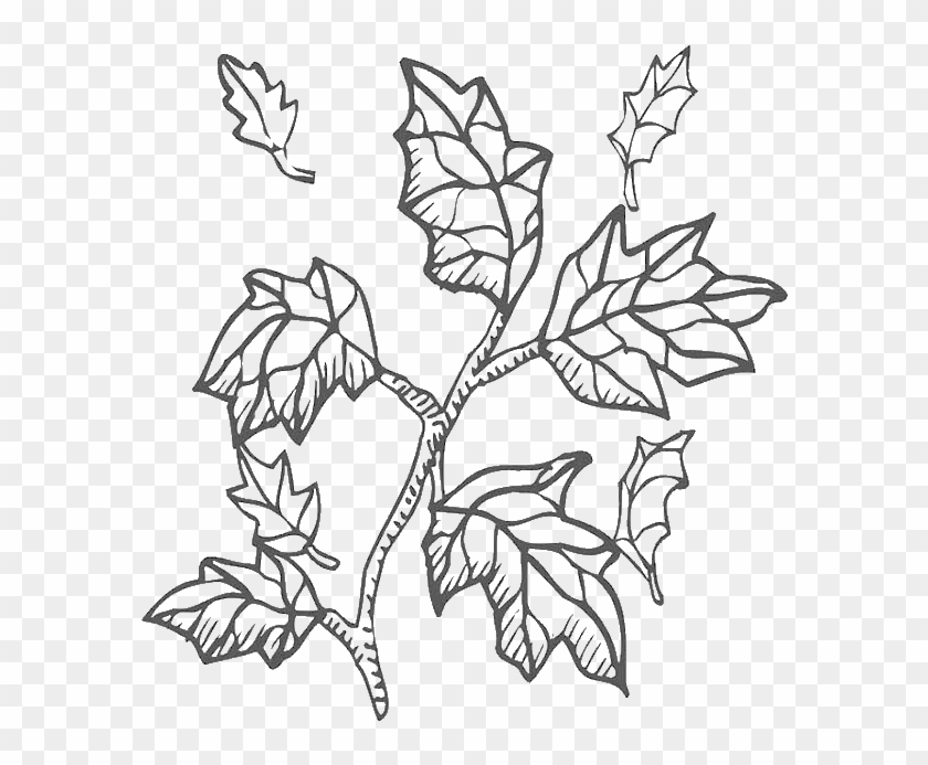 Autumn Leaf From Tree Branch Coloring Page - Coloring Book #432910