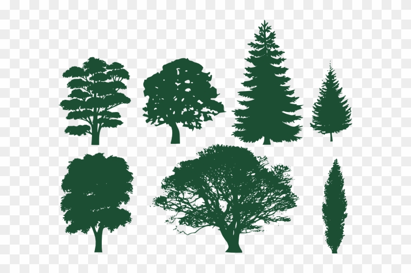Family Tree Silhouette Roots Download - Trees Silhouettes #432930