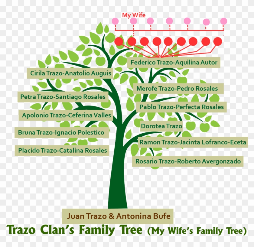 On The Photo Above, It Shows The Family Tree Of The - Tree #432952
