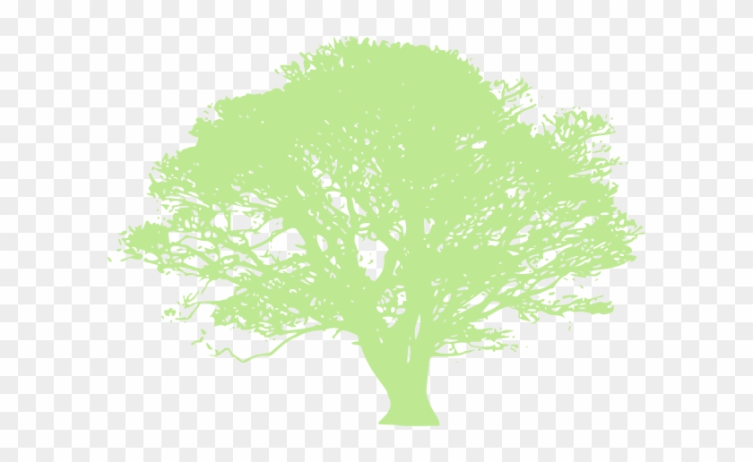 Tree Of Life Sticker #433001
