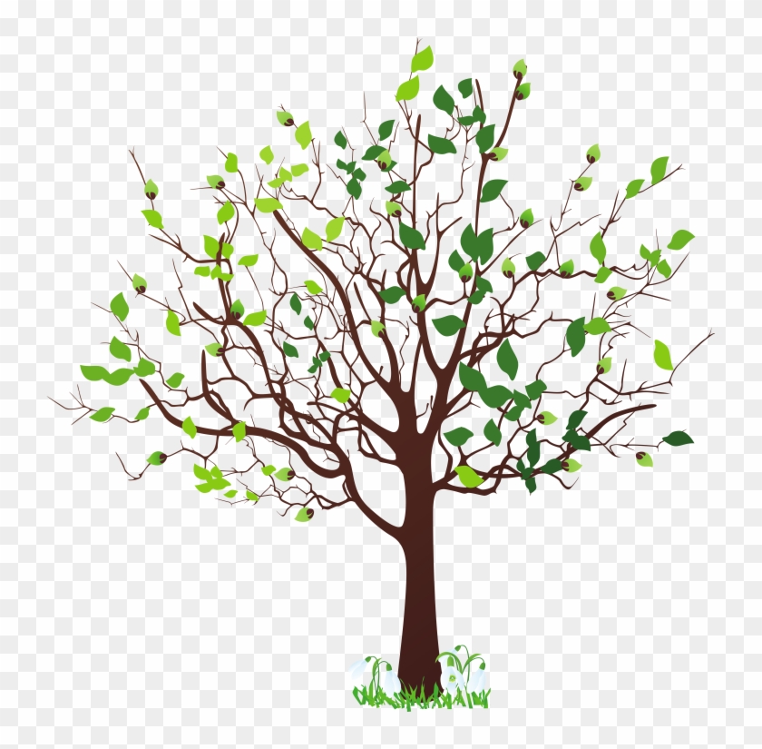 Pin Free Family Tree Clipart - Tree Clip Art Png #433005
