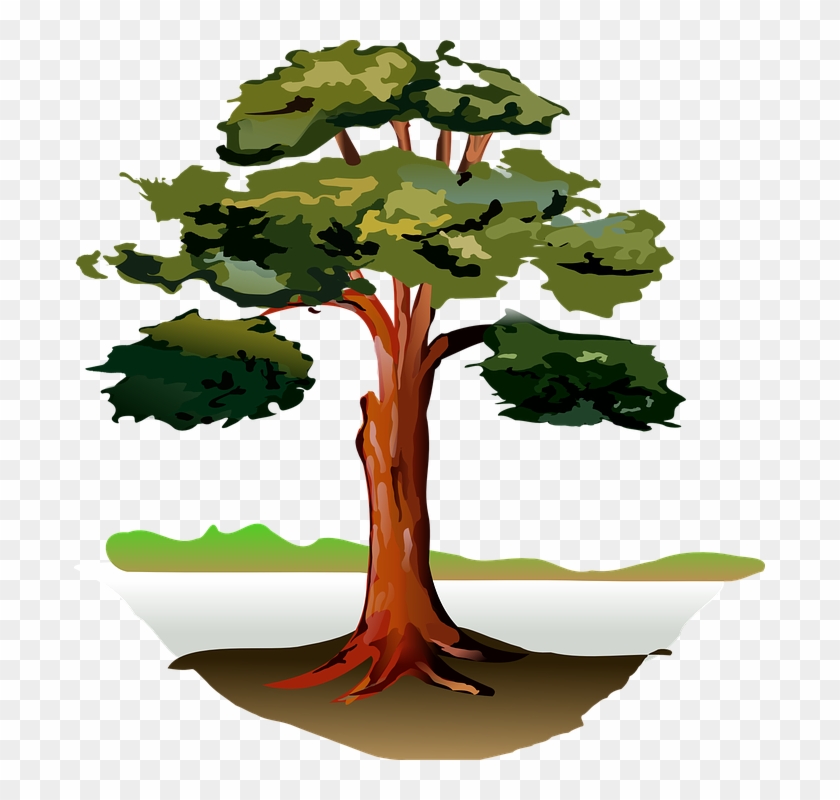 Oak Tree Clipart 12, Buy Clip Art - Clipart Tree By River #433018