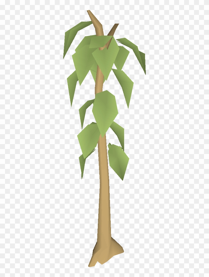 Teak Tree - Osrs Teak Tree #433134