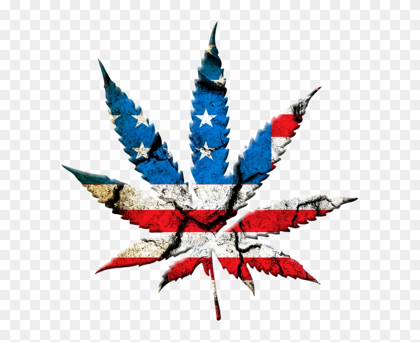 Medical Marijuana Inc - State Marijuana Legalization: Issues And Effects #433193